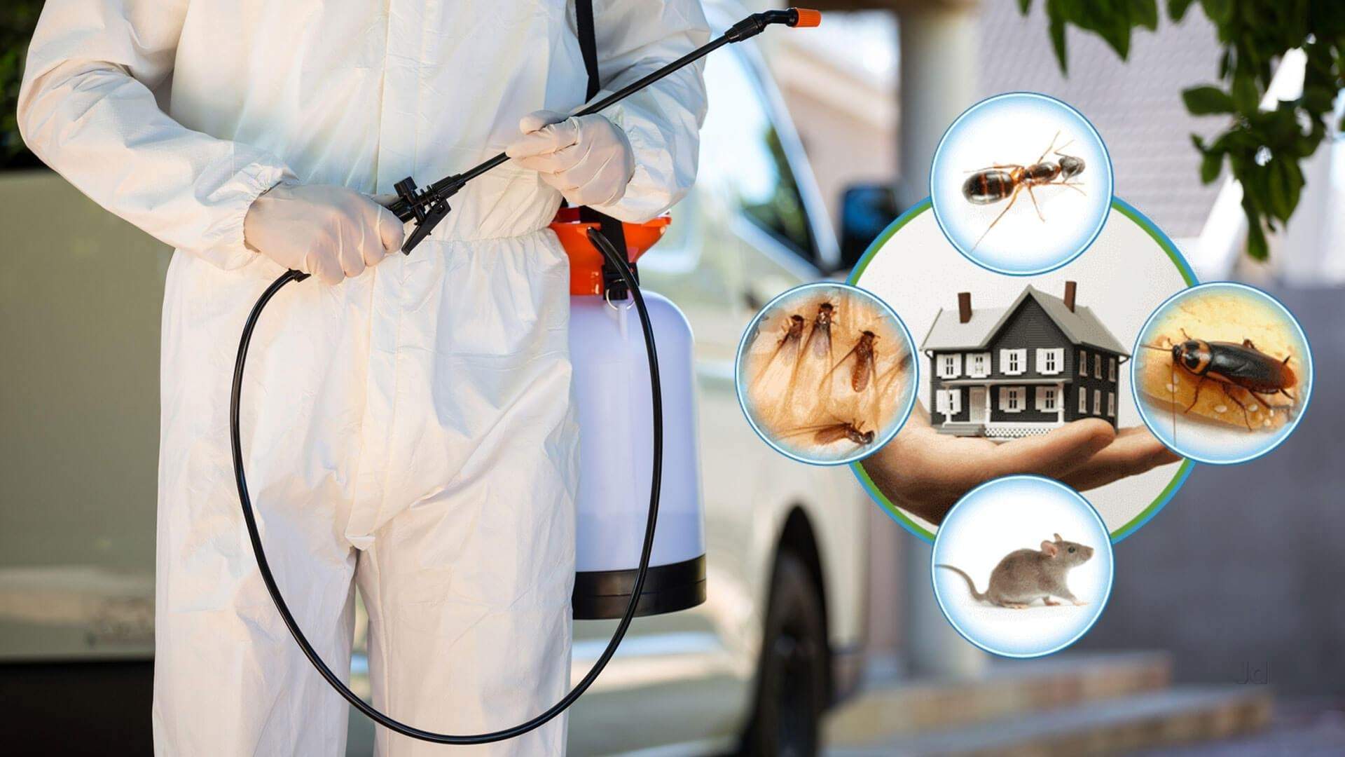 Best Pest Control in Lucknow